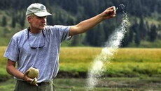 Бельгийская партия зеленых предложила пустить прах умерших на удобрения