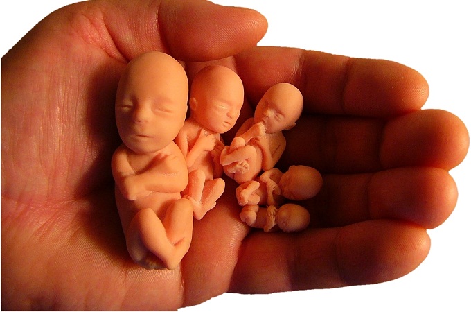 У США сатаністка судиться з губернатором через брошури про аборти