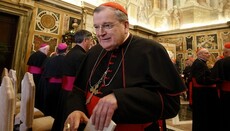 Кардинал Берк отверг обвинения в начале раскола Католической Церкви