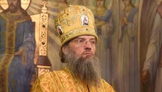 Metropolitan Luke comments on his 