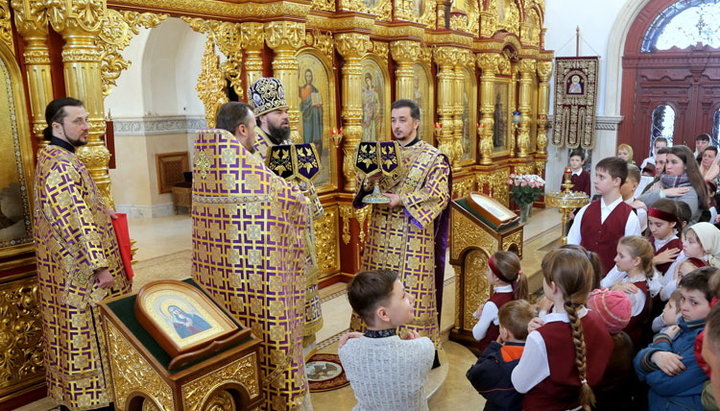 Митрополит Горловский и Славянский Митрофан (Никитин)