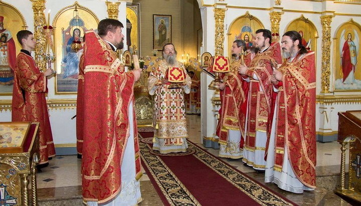 Митрополит Запорізький і Мелітопольский Лука. Фото: Запорізька єпархія