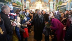 Предстоятель УПЦ посетил малую родину