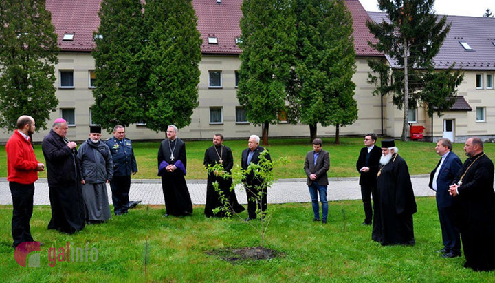 BOaU, BRC, BUGC au plantat 