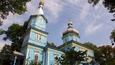 Активисты ПЦУ снова пытаются захватить храм УПЦ в Луке-Мелешковской