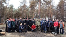 На месте сгоревшего леса у храма под Северодонецком высадили 100 деревьев