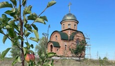 В УПЦ просят помочь строительству возрождающегося Межигорского монастыря