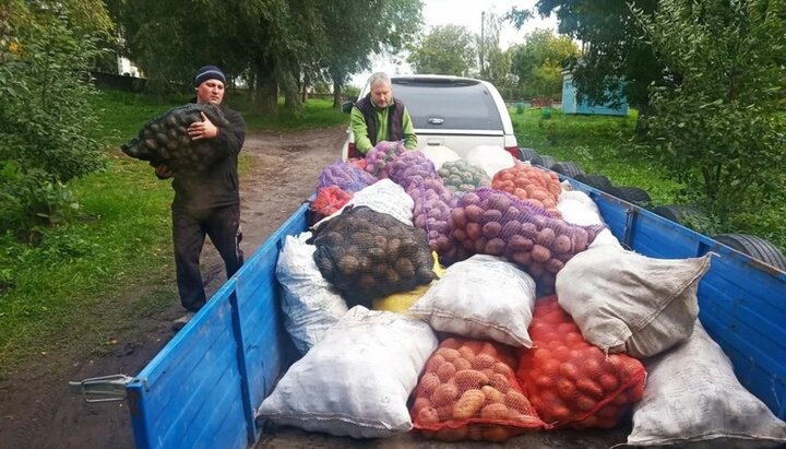 Верующие УПЦ в селе Хоров собрали для ровенского госпиталя полторы тонны овощей. Фото: rivne.church.ua