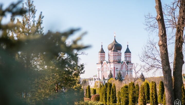 Засідання Священного Синоду УПЦ 10.04.2024 р. у Феофанії. Фото: news.church.ua