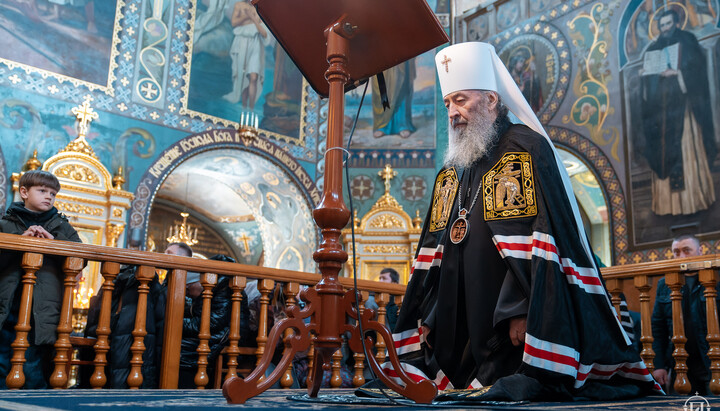 Блаженніший Митрополит Онуфрій. Фото: УПЦ