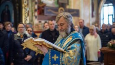 Novynskyi: UOC prevents authorities from carrying out anti-people policy