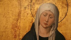 Власти Европы занижают масштабы преследований христиан – отчет