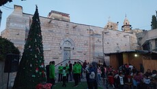 В Газе впервые за годы войны зажгли рождественскую елку