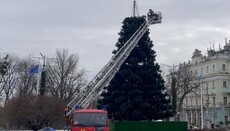 В Черновцах накануне Рождества демонтировали Рождественскую елку