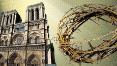 Терновый венец: ботаника и физиология страданий