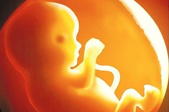 Creation of human embryos for biomedical applications banned in Russia