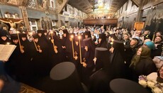 Στο Γεωργιανό Μετόχι της Μονής Γκοροντόκ τελέστηκε μοναχική κουρά