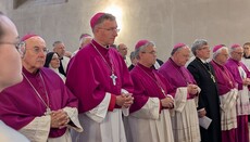 Немецкие епископы Германии призвали ЕС играть более активную роль в НАТО