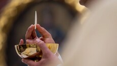 Σε ναό της ΡΚΕ της Ελβετίας οι παροικιάνοι κοινώνησαν σκύλους κατά τη διάρκεια της λειτουργίας