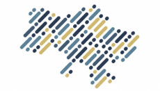 All-Ukrainian Council of Churches and Religious Organizations Calls on the West to Strengthen Military Support for Ukraine