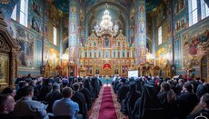 О том, как Собор УПЦ в Феофании «превратился в бесчинное сборище»