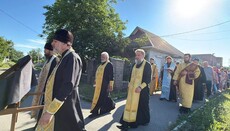 В Знаменке совершили крестный ход с ковчегом мощей святых Александрийских