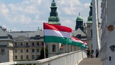 В Венгрии мужчине грозит до трех лет тюрьмы за снятые ЛГБТ-флаги