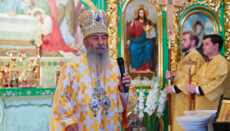 Блаженнейший: Узаконивание греха не решит проблем человечества