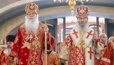 The Primate of the Church of America congratulated His Beatitude on the anniversary of his enthronement