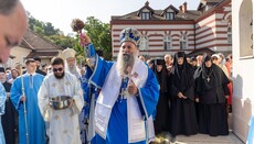 Πατριάρχης Σερβίας: Η Θεοτόκος μας διδάσκει να εμπιστευόμαστε πλήρως το θέλημα του Θεού