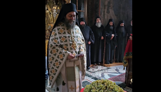 В Хиландаре на Афоне освятили плоды самой старой виноградной лозы в мире