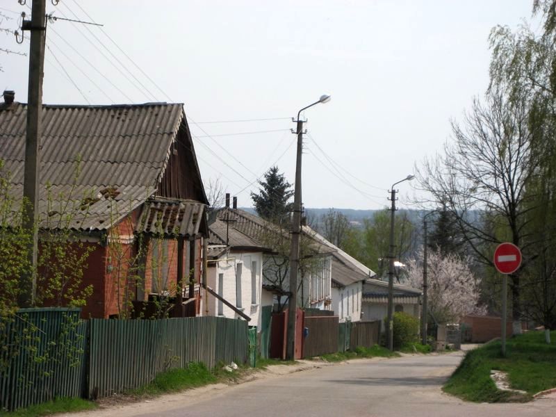 Церковь во имя святой Троицы в городе Богуслав (1861) фото 9