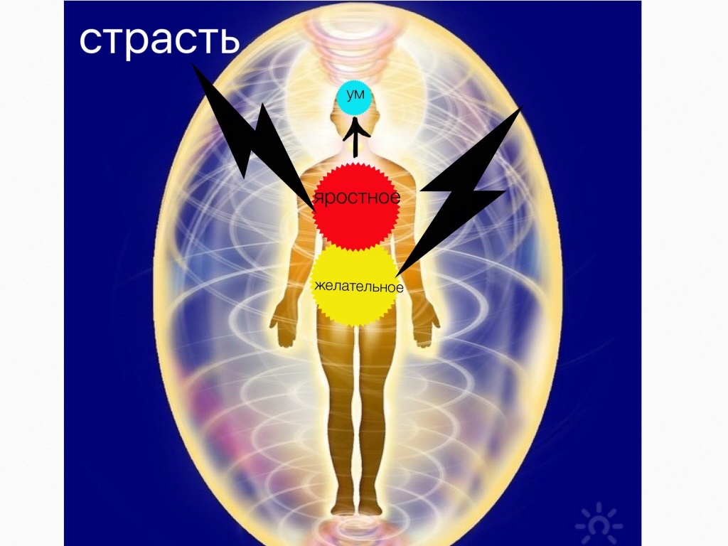 Анатомия души. Часть 1. Структура души фото 4