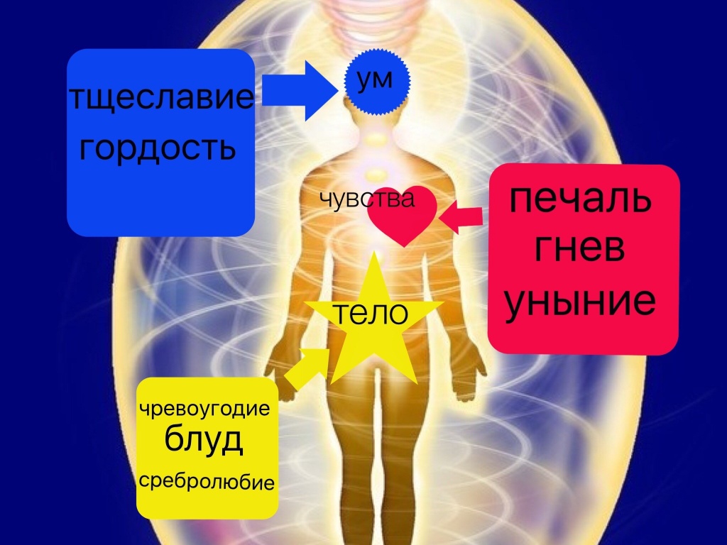 Анатомия души. Часть 2. Восемь общеродовых грехов фото 3