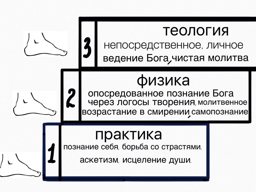 Анатомія душі. Закінчення. Підсумки фото 5