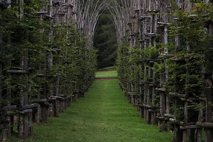 У Мережі опублікували світлини найнезвичайніших церков та соборів фото 15