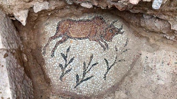 В Туреччині розкопали найдавніший храм Чорноморського регіону фото 1