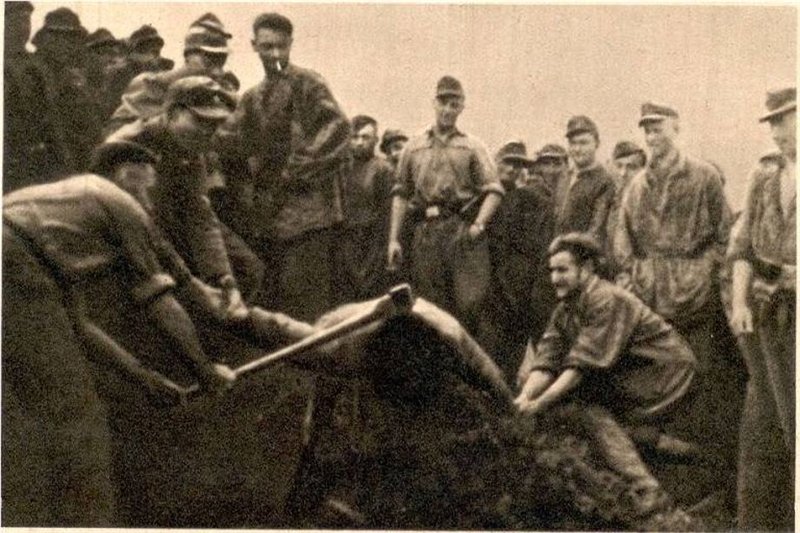 Jasenovac: Biserica catolică și genocidul sârbilor ortodocși фото 1