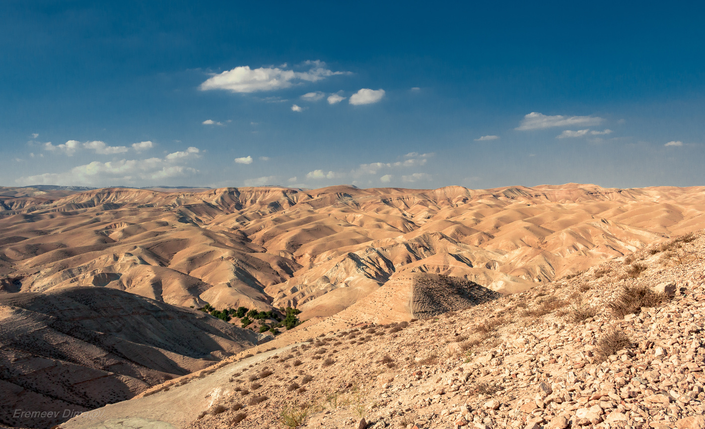 Панорама Юдейської пустелі
